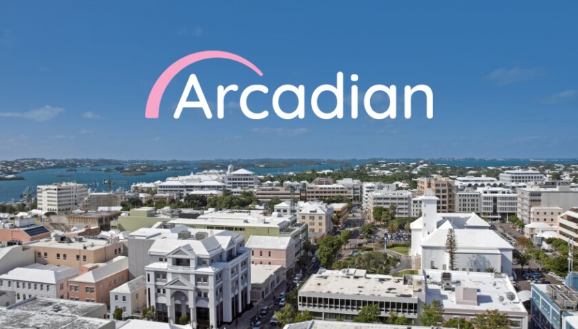 arcadian bermuda.jpg