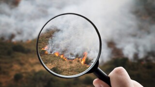 Fire Investigation Wildfire Aftermath.jpg