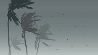 Hurricane Force Winds Illustration.jpg