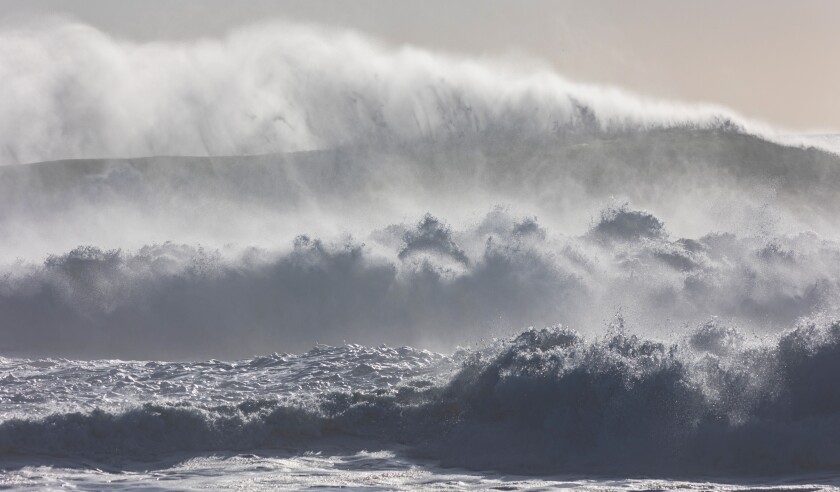 Hurricane Tsunami Waves Storm Surge.jpg
