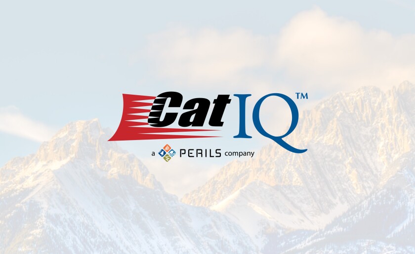 Cat-IQ-2025.jpg