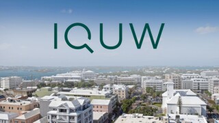 IQUW Bermuda.jpg