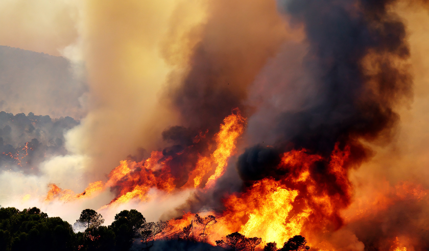 wildfire.png