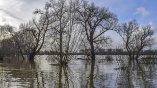 flood2.jpg