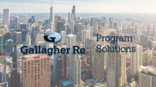 gallagher re program solutions logo chicago.jpg