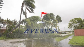 Everest logo palm trees flooding storm damage.jpg