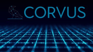 corvus cyber black bg.jpg