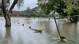 Flooded park 2022 australia.jpg