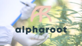 Alpharoot logo cannabis.jpg