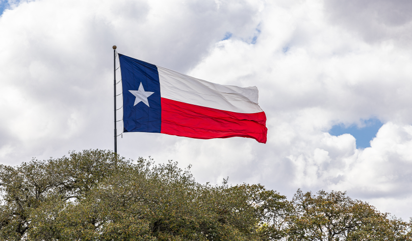 texas state flag.png