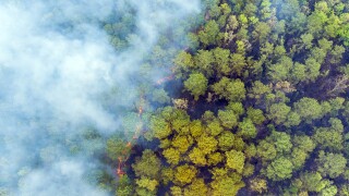 Wildfire Aerial Smoke Forest Burn.jpg