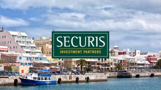 Securis.jpg