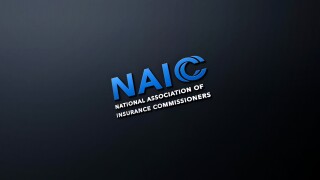 NAIC Dark simple.jpg