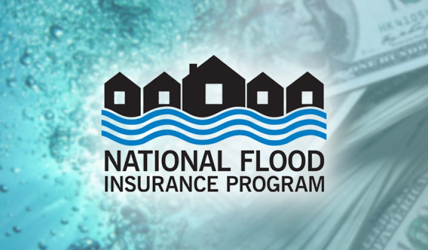 nfip logo cash flood 2024.png