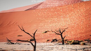 desert pixelated.jpg