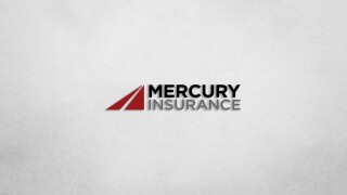 Mercury shadow.jpg