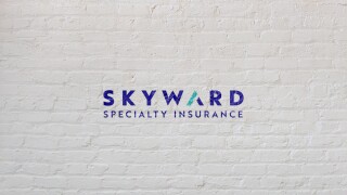 skyward specialty brick.jpg