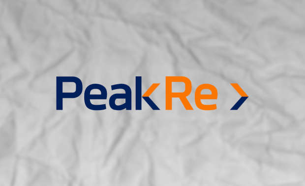 peak re logo 2025.png