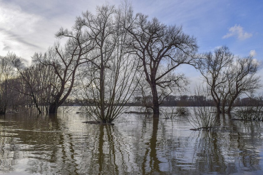 flood2.jpg