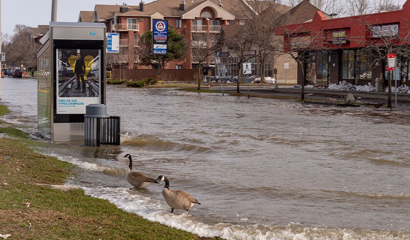 Flooding in Quebec Canada (Spring 2019).jpg