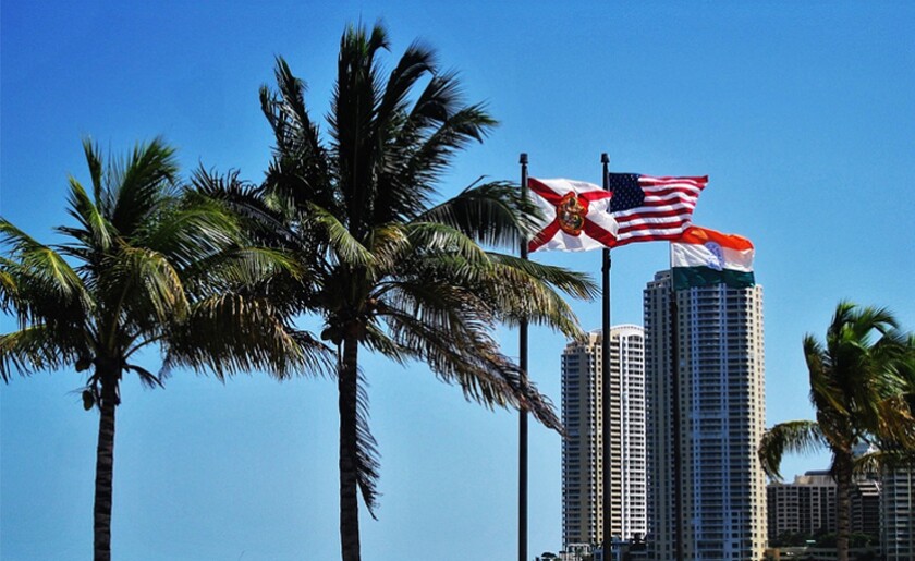 Florida flag palm trees.jpg