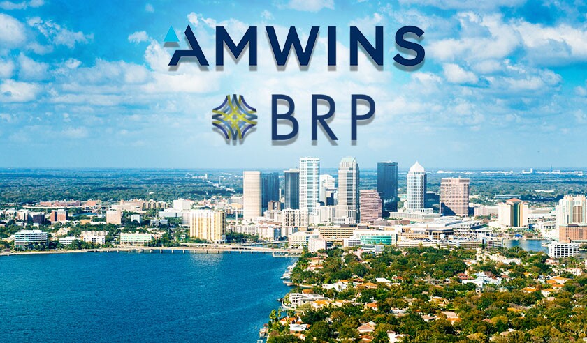 amwins brp risk logo tampa fl.jpg
