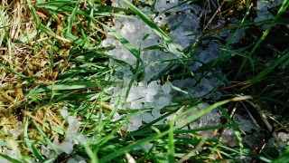 hail storm damage 2.jpg