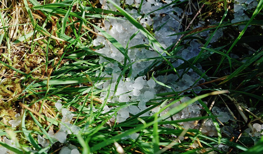 hail storm damage 2.jpg