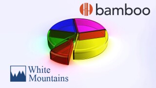 bamboo white mountains pie m&a.jpg