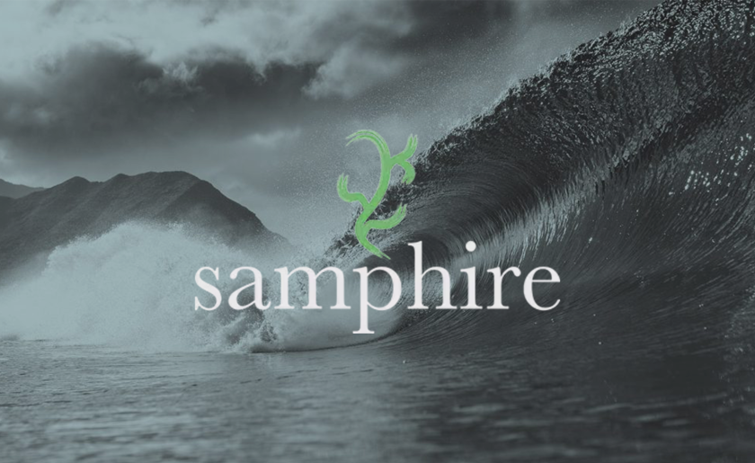 Samphire-Risk-2025.png