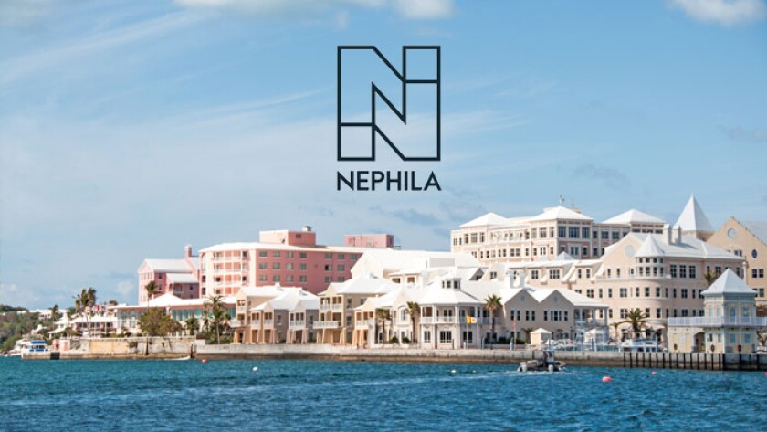 Nephila logo bermuda no bar.jpg