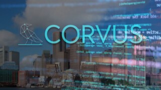 Corvus logo Boston MA data coding cyber.jpg