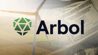 arbol.jpg
