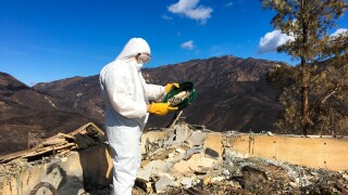 California Wildfire Investigation Aftermath.jpg