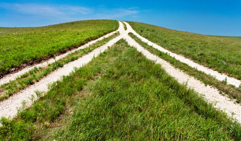 Merger in the grass M&A.jpg