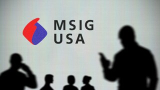 msig usa logo.jpg