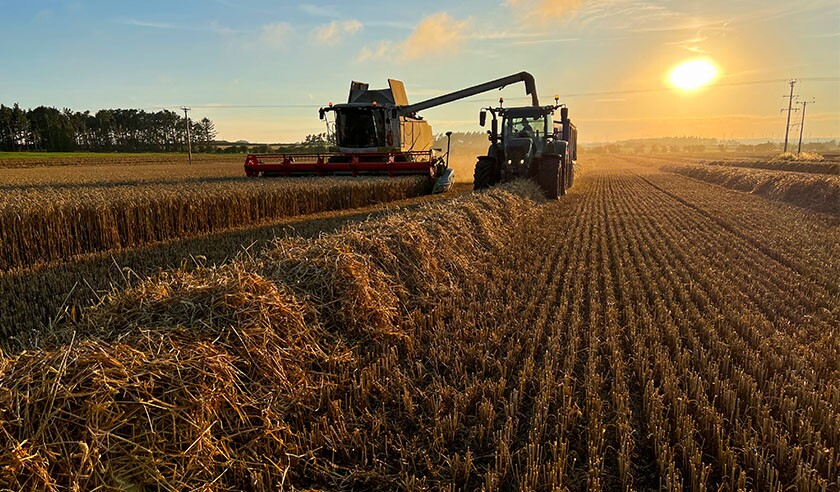 tractor harvesting wheat agribusiness agriculture.jpg