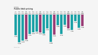 wWlM1-public-d-amp-o-pricing-lead.png