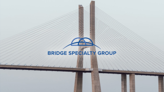 Bridge-Specialty-Group.png