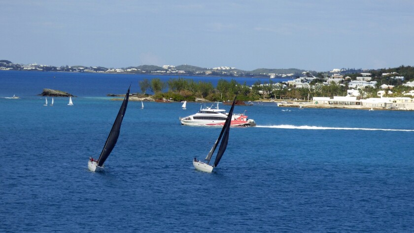 Bermuda (2).jpg