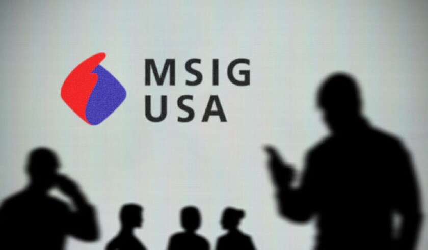 msig usa logo.jpg