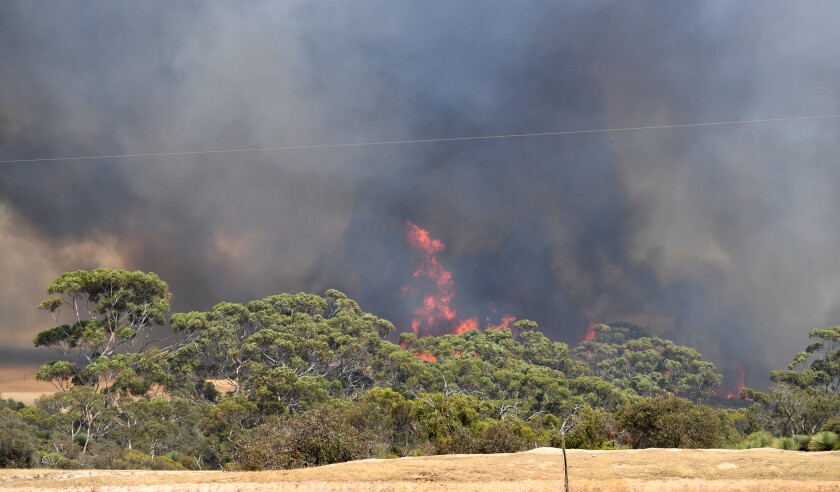 KANGAROO ISLAND BUSHFIRES