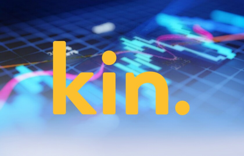 kin.jpg