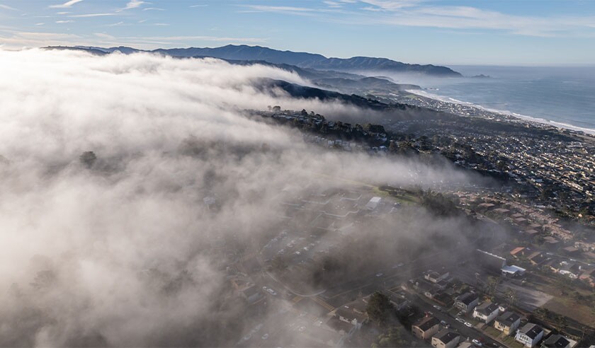 fog california.jpg