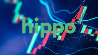 hippo logo stock.jpg