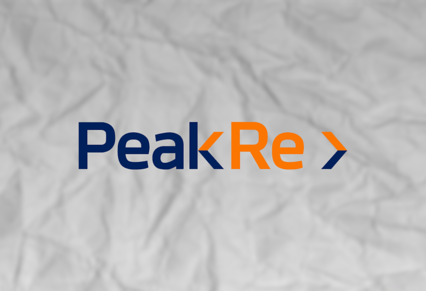 peak re logo 2025.png