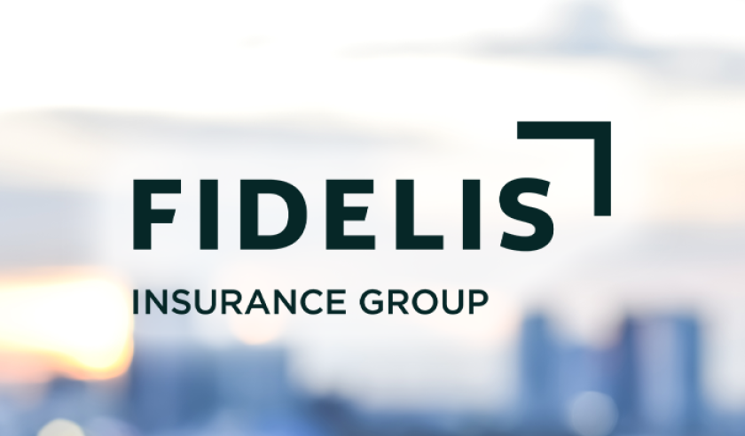 fidelis insurance group logo 2024 generic background.png