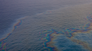oil spill gulf of mexico.png