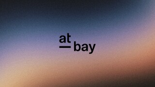 at-bay purpley bg.jpg