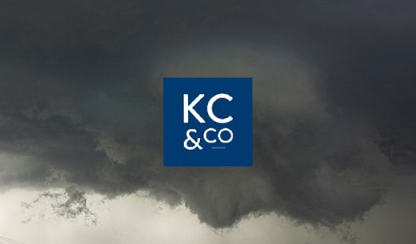 Karen Clark Co Storm KCC.jpg